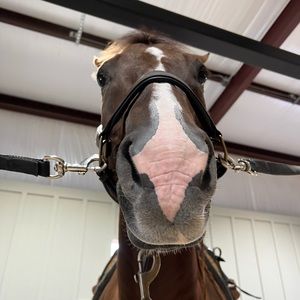 Meet your Posher, Libby